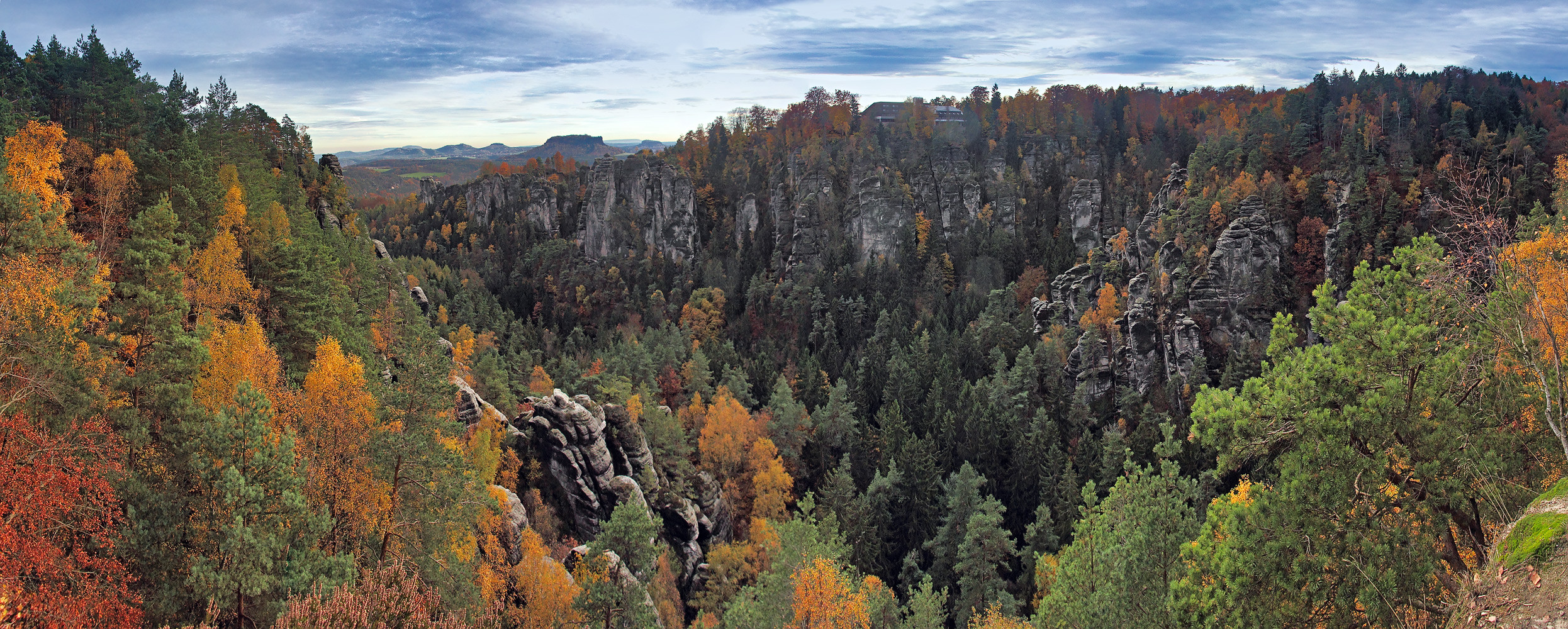 Herbst im Wehlgrund