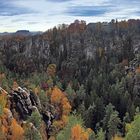 Herbst im Wehlgrund