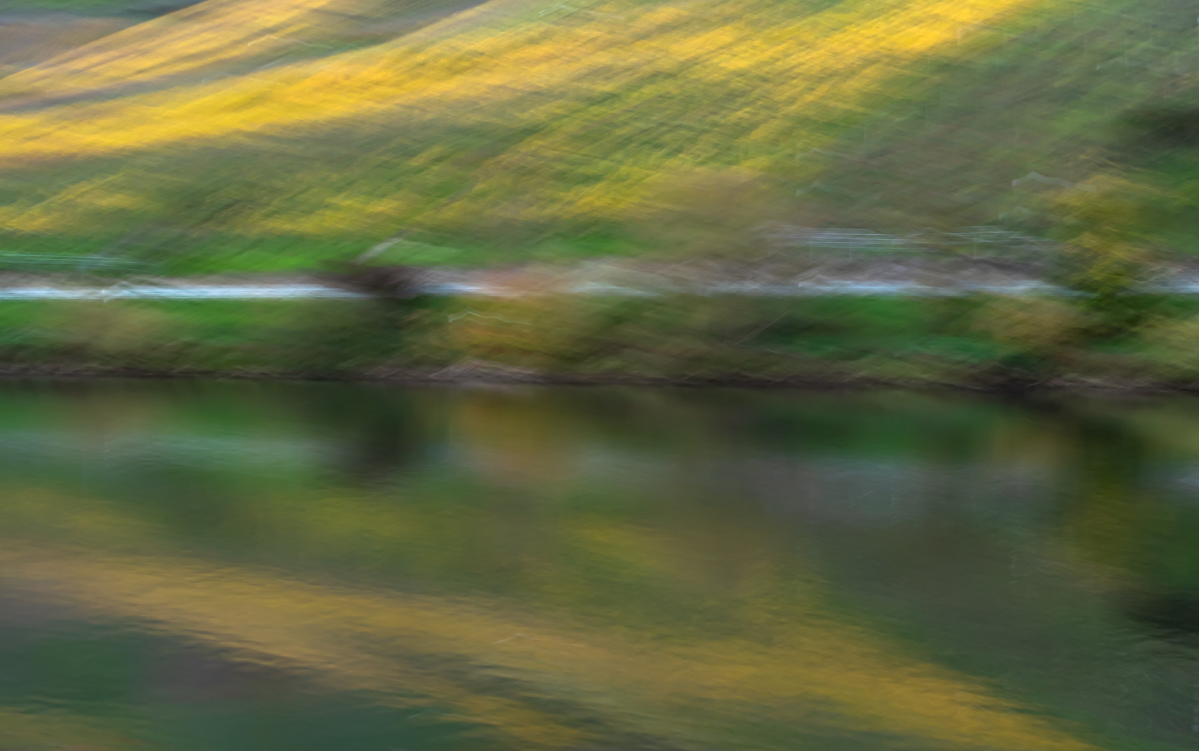 Herbst im Weinberg 0046-2