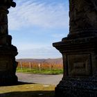 Herbst im WEINBERG