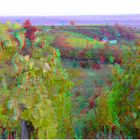 Herbst im Weinberg (3D-Foto)