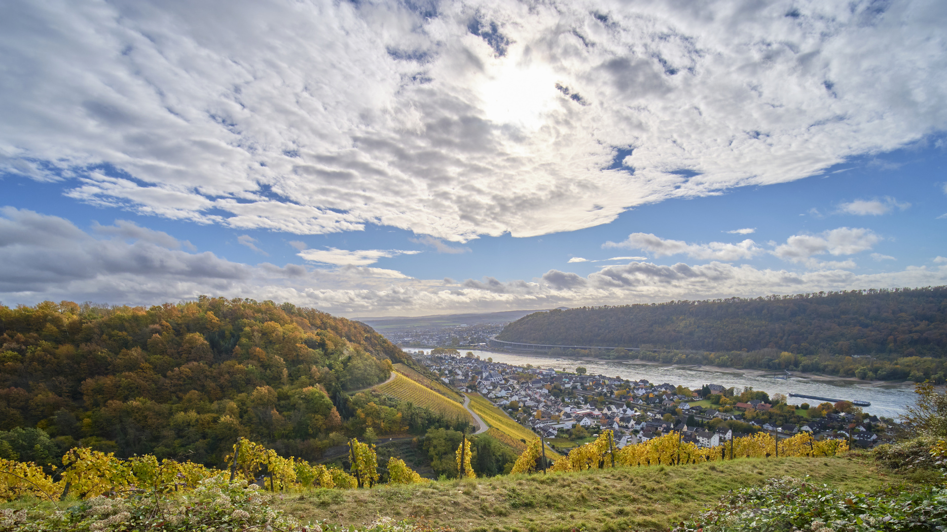 Herbst Im Weinberg