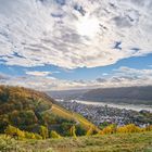 Herbst Im Weinberg