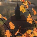 Herbst im Weinberg