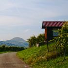  Herbst im Weinberg von Metzingen