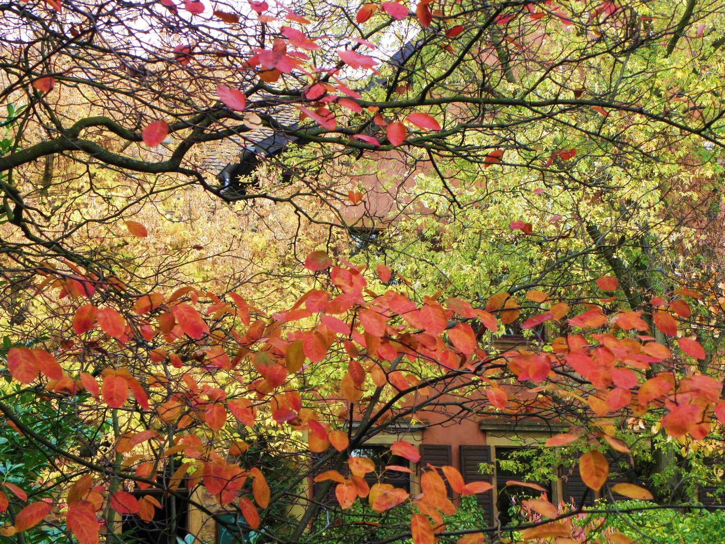 Herbst im Weingut Kern Deidesheim