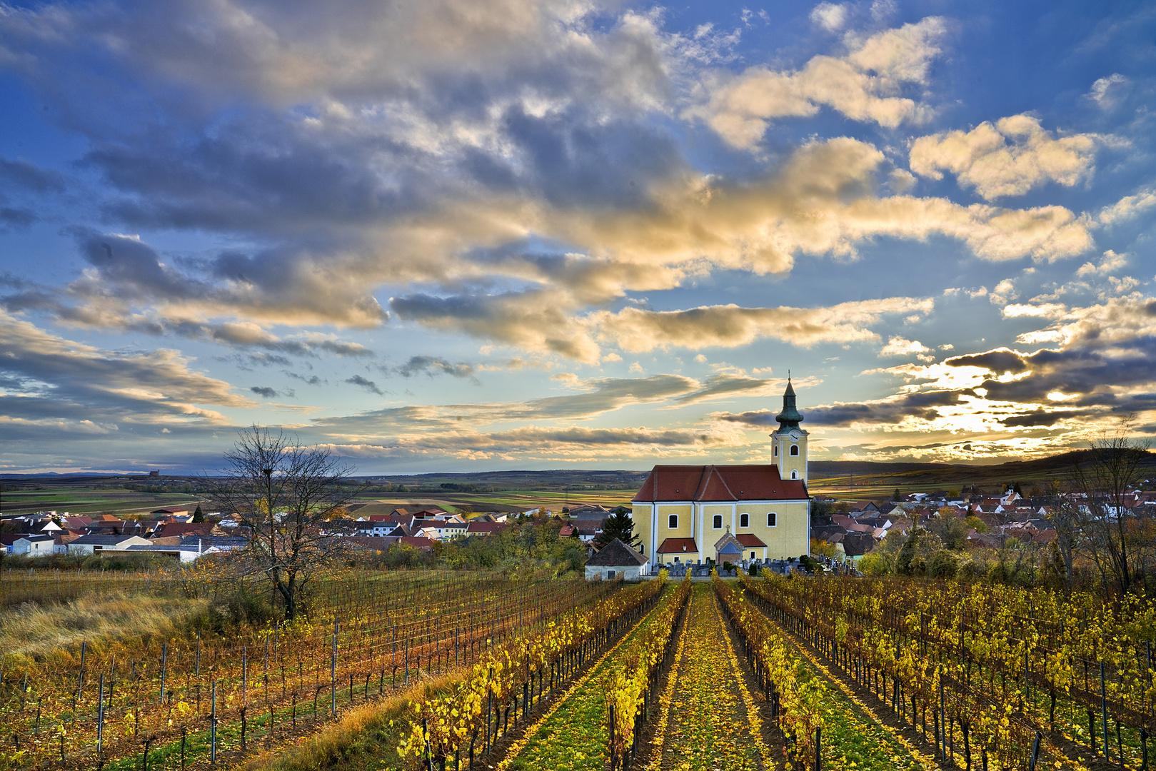 Herbst im Weinviertel bei Röschitz