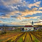 Herbst im Weinviertel bei Röschitz