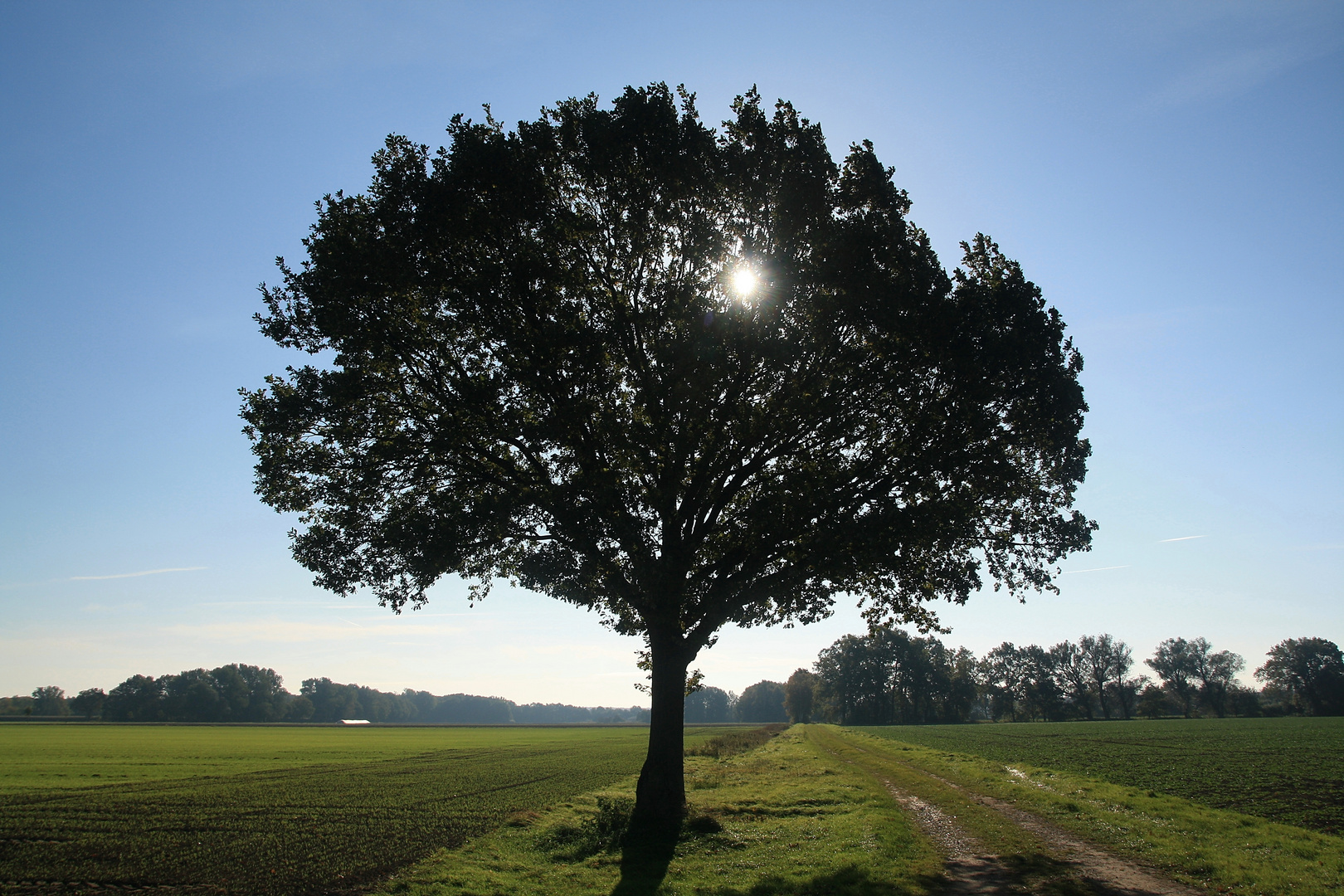 Herbst im Wendland .....