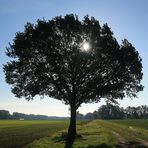 Herbst im Wendland .....