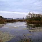 Herbst im Wendland .....