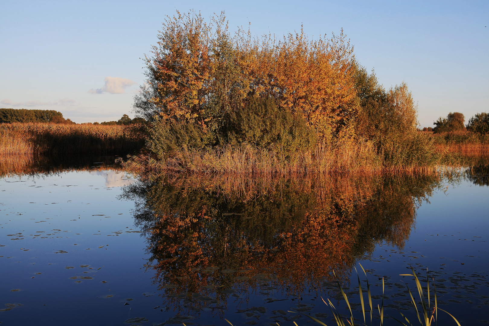 Herbst im Wendland .....