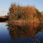 Herbst im Wendland .....