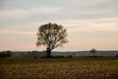 Herbst im Wendland .....