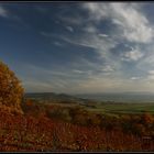 Herbst im Wengert