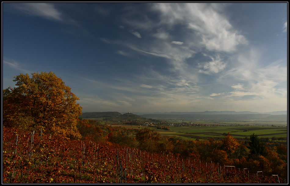 Herbst im Wengert