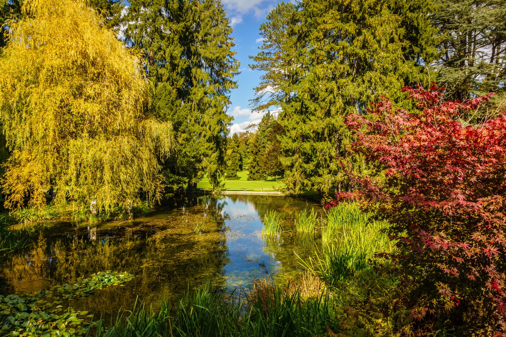 Herbst im Wenkenpark