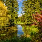 Herbst im Wenkenpark