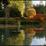 Herbst im Wenkenpark