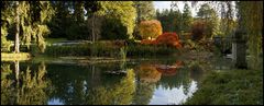 Herbst im Wenkenpark