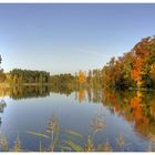 Herbst im Wermsdorfer Wald