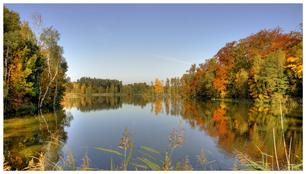 Herbst im Wermsdorfer Wald