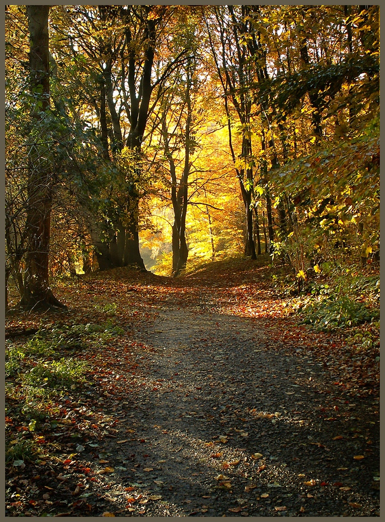 Herbst im Wesergebirge 