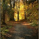 Herbst im Wesergebirge 