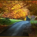 Herbst im Wesergebirge 2 