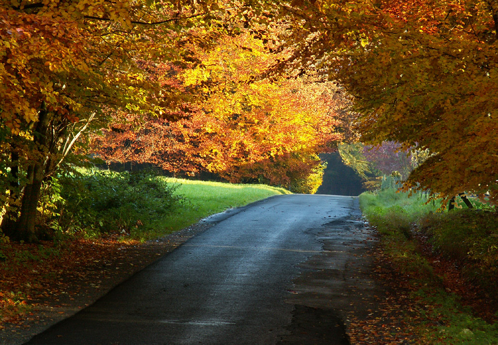 Herbst im Wesergebirge