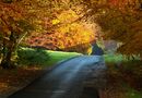 Herbst im Wesergebirge von roland7a 