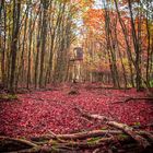 Herbst im Westerwald