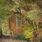 Herbst im Westerwald