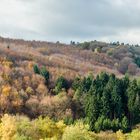 Herbst im Westerwald