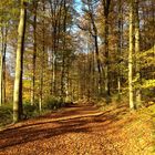 Herbst im Westerwald