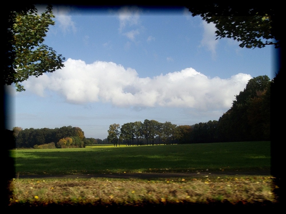 Herbst im westlichen Münsterland.