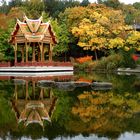 Herbst im Westpark