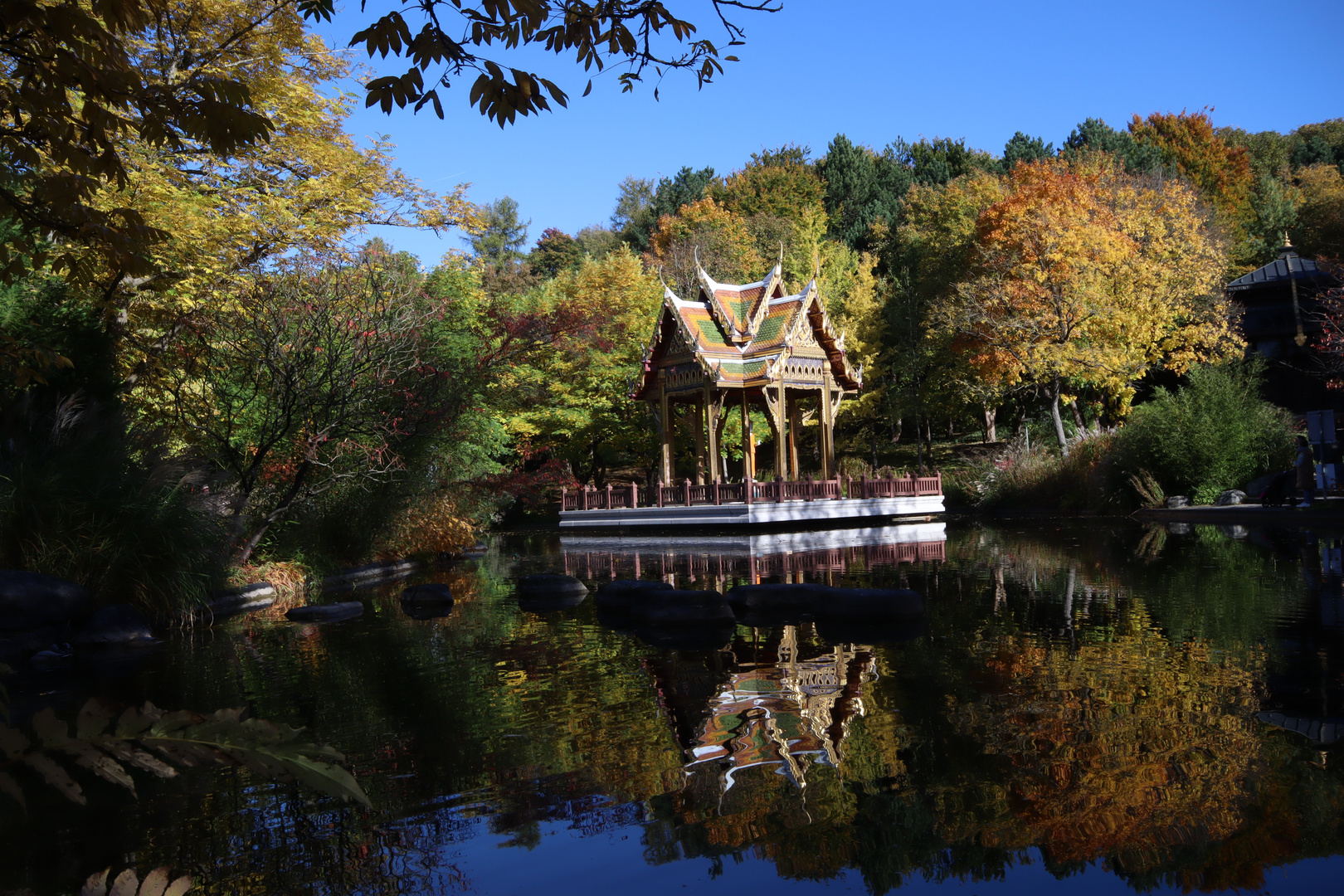 Herbst im Westpark