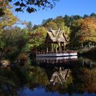 Herbst im Westpark