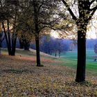 Herbst im Westpark