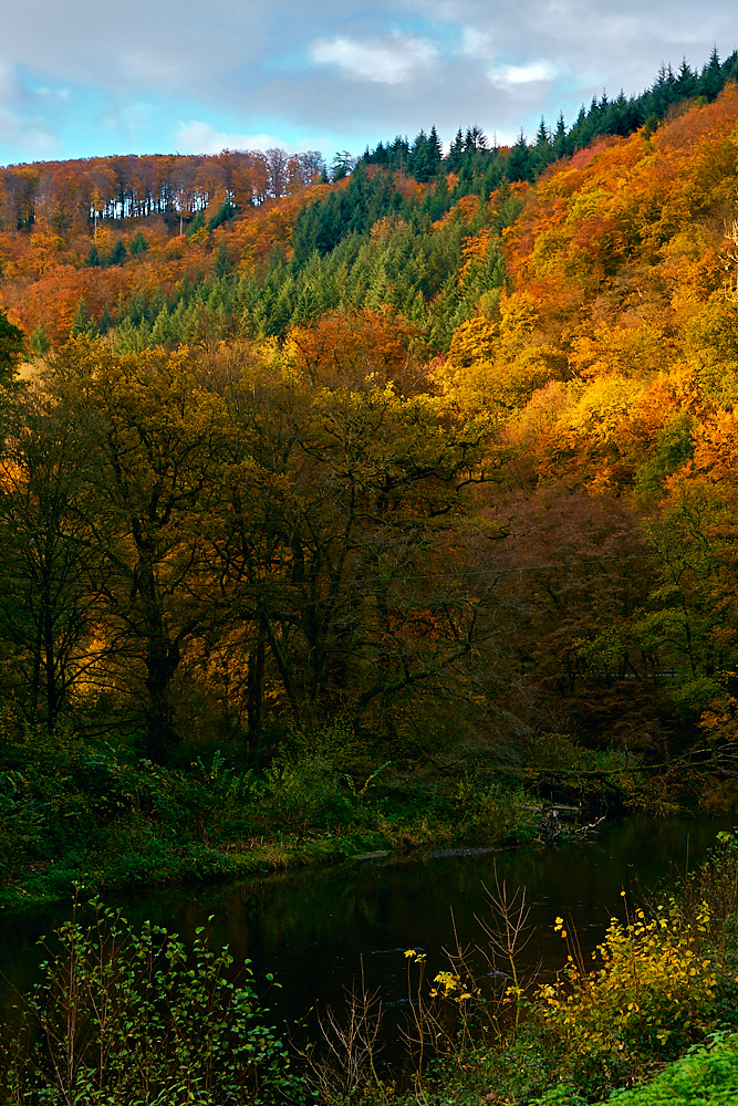 Herbst im Wiedtal (1)