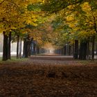 Herbst im Wiener Prater