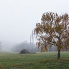 Herbst im Wienerwald