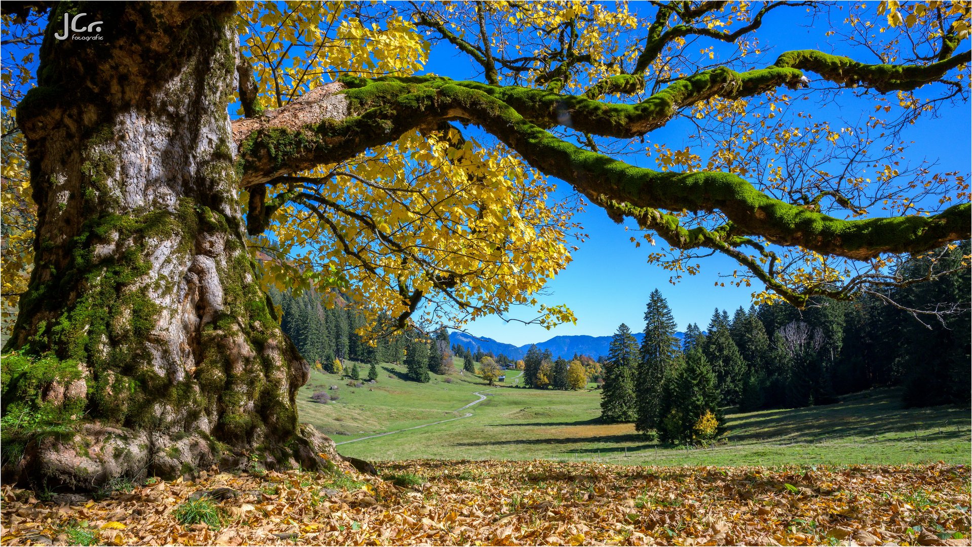 Herbst im Wiesach-Tal