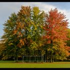 Herbst im Wiesengrund