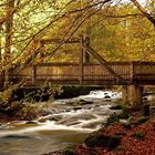 Herbst im Wiesenttal