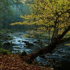 Herbst im wilden Pfreimdtal