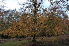 Herbst im Wildpark