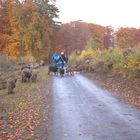 Herbst im Wildpark...