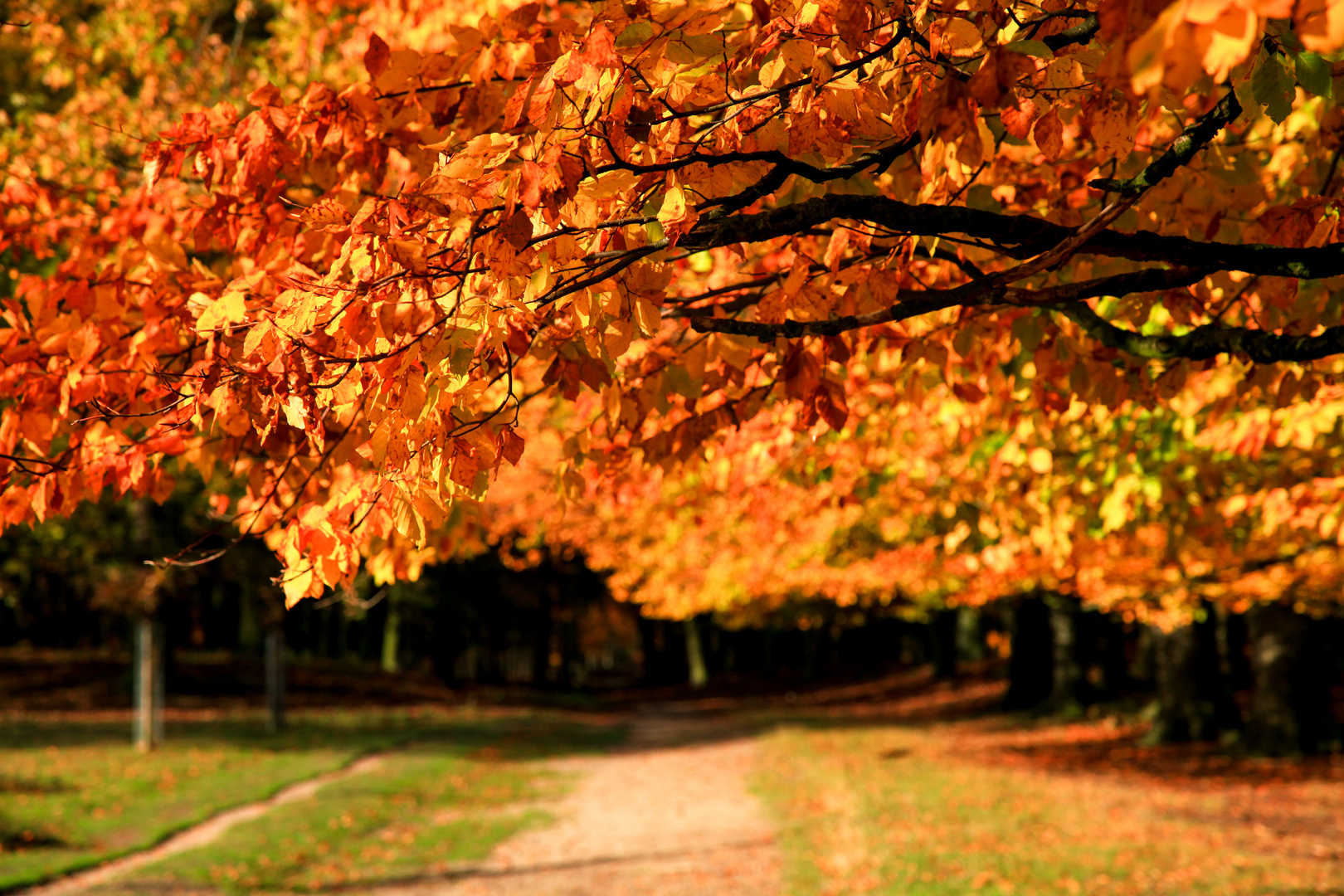 Herbst im Wildpark